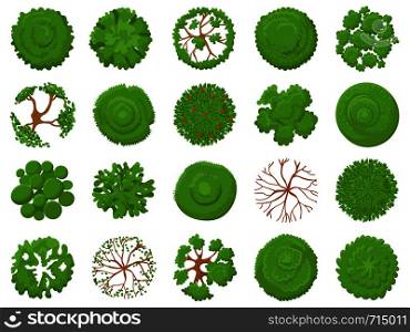 Top view tree. Planting green trees, park map vegetation and tropical forest maps viewing from above. Landscape garden tree planting design vector illustration isolated icons set. Top view tree. Planting green trees, park map vegetation and tropical forest maps viewing from above vector illustration set