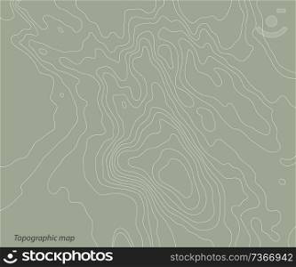 Topography relief map on a green background. Vector illustration .. Topography relief map .