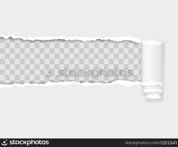 torn paper edge vector illustration isolated on transparent background