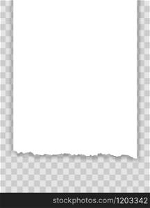 torn paper edge vector illustration isolated on transparent background