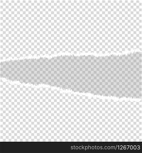 torn paper mock up blank space vector illustration