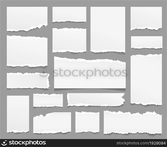 Torn paper sheets. Ripped papers strips, isolated piece note sheet with rip edge. Scrapbooking, grey empty notepad pages exact vector set. Illustration of torn note blank, collection of sheet ripped. Torn paper sheets. Ripped papers strips, isolated piece note sheet with rip edge. Scrapbooking elements, grey empty notepad pages exact vector set