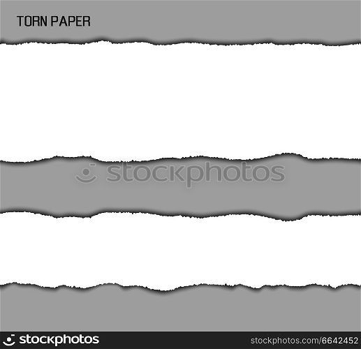Torn paper stripe with ragged uneven ragged edges of white lines paper. Vector illustration with two different sized stripes isolated on gray background. Torn Paper Srtipes Vector Illustration