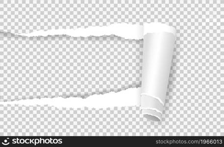 Torn paper with rolled edge, ripped notebook page sheet. Realistic rip out curled papers strip hole on transparent background vector template. Teared document with folded or curled piece
