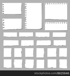 Torn pieces paper paper scrapsripped papers vector image