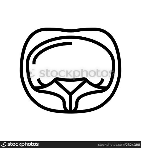tortellini pasta line icon vector. tortellini pasta sign. isolated contour symbol black illustration. tortellini pasta line icon vector illustration