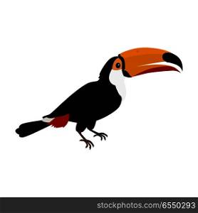 Toucan Bird Flat Design Vector Illustration. Toucan vector. Animals of rainy Amazonian forests in flat design. Fauna of South America. Wild life in tropics concept for posters, childrens books illustrating. Beautiful toucan isolated on white.