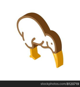 toucan bird isometric icon vector. toucan bird sign. isolated symbol illustration. toucan bird isometric icon vector illustration