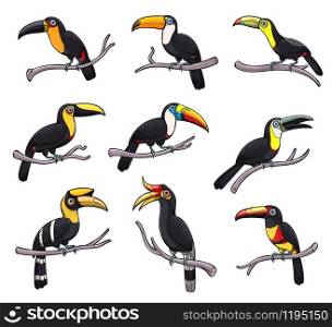 Toucan exotic bird isolated icons of tropical jungle animals vector design. Toucanet, aracari, toco and choco toucan sitting on branches, birds with yellow beaks, black feathers on wings and tails. Toucan bird icons of exotic tropical animals