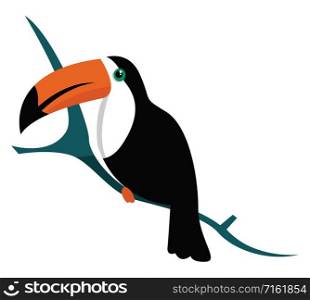Toucan, illustration, vector on white background.
