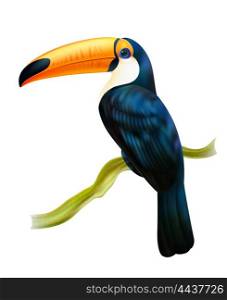 Toucan Sitting On Twig Realistic Image . Tropical rainforest fauna toucan bird sitting on a twig colorful realistic image with white background vector illustration