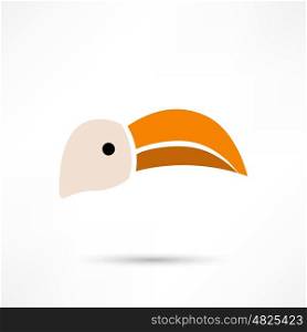 Toucan, Vector illustration of a Toucan