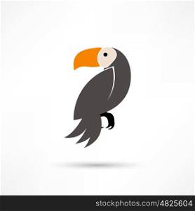 Toucan, Vector illustration of a Toucan