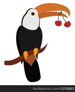 Toucan with cherry, illustration, vector on white background.