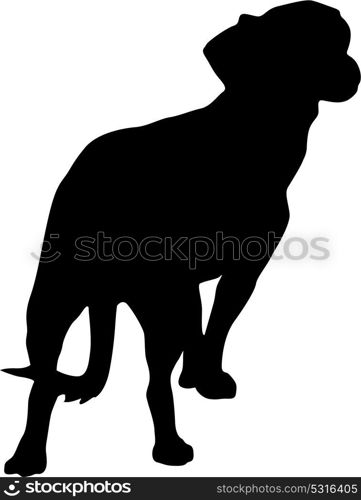 Toy Fox terrier dog silhouette on a white background. Toy Fox terrierdog silhouette on a white background.
