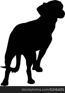 Toy Fox terrier dog silhouette on a white background. Toy Fox terrierdog silhouette on a white background.