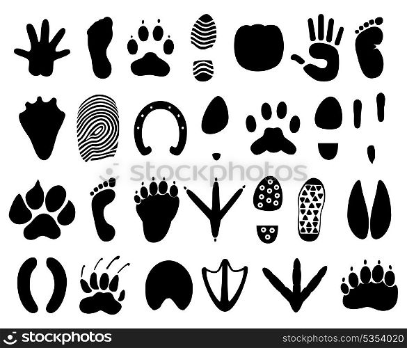Trace. Traces of the person and animals. A vector illustration