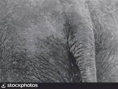 Tracing image bottom of elephant
