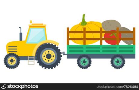 Tractor carrying pumpkin, tomato and potato in trailer. Yellow agricultural vehicle with vegetables, harvesting and farming, vegetarian food, rustic vector. Flat cartoon. Vegetables in Trailer, Tractor Carrying Vector