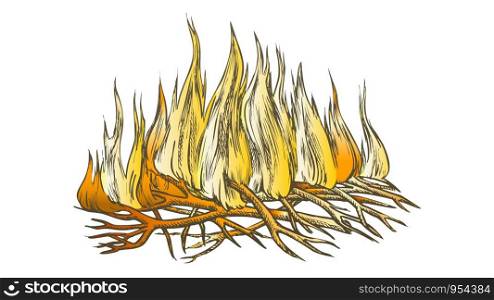 Traditional Burning Camping Fire Color Vector. Tree Branch Sticks Twigs Fire Campfire. Sprouts Of Flame And Offshoot Of Plant Hand Drawn In Retro Style Illustration. Traditional Burning Camping Fire Color Vector