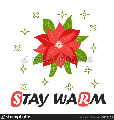 Traditional Christmas poinsettia flower with green leaves and red petals. Cute winter poster, Christmas card, banner, sticker, gift tag. Christmas flower. Traditional Christmas poinsettia flower with green leaves and red petals. Christmas flower