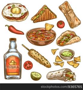 Traditional mexican food. Mexican national burrito, tacos and nachos, enchilada and chili pepper, tequila colored sketch vector set. Engraving vintage meal for menu design, spicy ingredients. Traditional mexican food. Mexican national burrito, tacos and nachos, enchilada and chili pepper, tequila colored sketch vector set