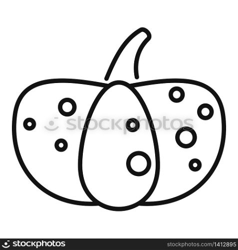 Traditional pumpkin icon. Outline traditional pumpkin vector icon for web design isolated on white background. Traditional pumpkin icon, outline style