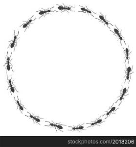 Trail of ants. Trail of ants. Circular insect frame. Vector.. Trail of ants. Trail of ants. Circular insect frame. Vector