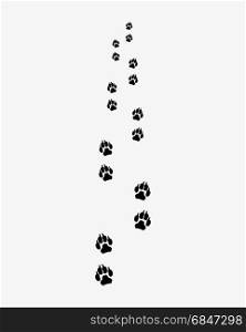 trail of dog