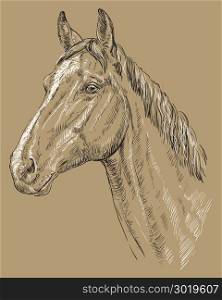 Trakehner portrait. Horse head in profile in black and white colors isolated on beige background. Vector hand drawing illustration