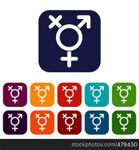 Transgender sign icons set vector illustration in flat style in colors red, blue, green, and other. Transgender sign icons set