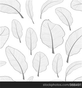 Transparent Banana leaves seamless textile black and white Vector pattern. Set of isolated vector leaf elements, for tropical, exotic, summer design.. Tropical Banana leaves seamless textile pattern