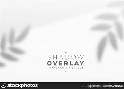 transparent leaves overlay shadow effect background