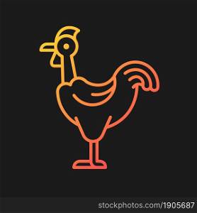 Transylvanian chicken gradient vector icon for dark theme. Naked neck chicken breed. Bird with featherless neck. Thin line color symbol. Modern style pictogram. Vector isolated outline drawing. Transylvanian chicken gradient vector icon for dark theme