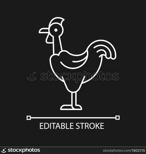 Transylvanian chicken linear icon for dark theme. Naked neck bird breed. Bird with featherless neck. Thin line customizable illustration. Isolated vector contour symbol for night mode. Editable stroke. Transylvanian chicken linear icon for dark theme