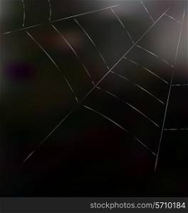 Trap spider web on dark background for design web or nature concept - vector