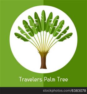 Travelers palm tree. Illustration of exotic tropical plant. Travelers palm tree. Illustration of exotic tropical plant.