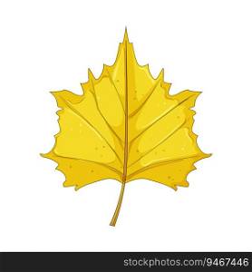 tree autumn leaf cartoon. nature yellow, border oak, october golden tree autumn leaf sign. isolated symbol vector illustration. tree autumn leaf cartoon vector illustration