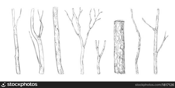 Tree branch engraving. Hand drawn forest bare twigs. Dry wood log and lumber rustic graphic templates. Isolated natural winter or spring elements set. Vector black and white drawing plant trunks. Tree branch engraving. Hand drawn forest twigs. Dry wood log and lumber rustic graphic templates. Natural winter or spring elements set. Vector black and white drawing plant trunks