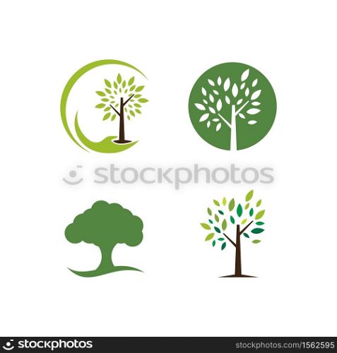 Tree branch nature element template vector illustration
