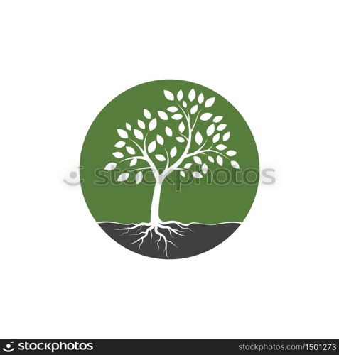 tree branch vector ilustration design template