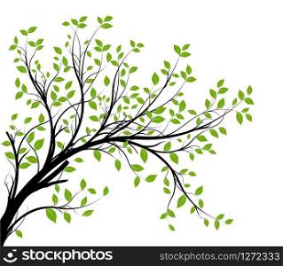Tree branch vector over white background