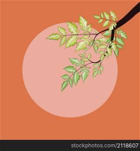 Tree branch with decorative green summer leaves illustration.