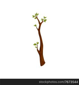Tree branch with green leaves isolated stylized limb of spring season. Vector natural stick with leaf foliage, symbol of growth, flat cartoon bush element. Plant branch with growing leaves. Branch of tree with leaves isolated spring symbol