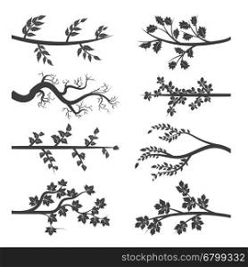Tree branches with leaves silhouette. Tree branches with leaves silhouette isolated on white background. Vector illustration