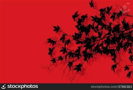 Tree branches with leaves slhouettes over red background