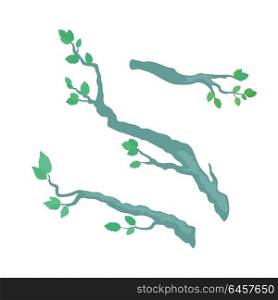Tree Brunches Flat Design Vector Template. Tree brunches vector. Floral template in flat design. Illustration for nature concepts, trees compositions, pet shop advertising. Tree brunches with leaves in different positions isolated on white.