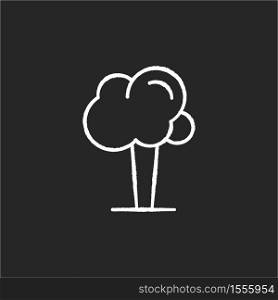 Tree chalk white icon on black background. Oak with leaves. Plant for gardening care. Modern nature. Maple tree. Woodland greenery. Growing chestnut. Isolated vector chalkboard illustration. Tree chalk white icon on black background
