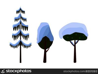 Tree evergreen trees covered with snow on white. Collection of different trees in shape and size. Long spruce bare Christmas tree in cartoon style. Winter snow frost in flat design vector illustration. Tree Evergreen Trees Covered with Snow. Winter
