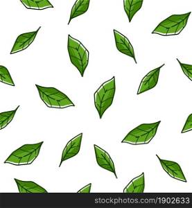 Tree foliage or mint leaves falling down. Evergreen bushes and leafage, tropical plant or botanic flora. Background or print with freshness and greenery. Seamless pattern, vector in flat style. Mint leaves tree foliage, bushes seamless pattern